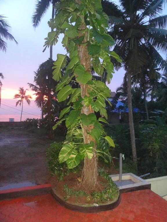 Basuri Beach Resort Varkala Exterior foto